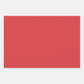 Christmas Frog Jazz Band en Solids Green & Red Inpakpapier Vel (Voorkant 3)