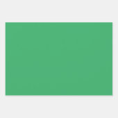 Christmas Frog Rock Band en Solids Green & Red Inpakpapier Vel (Voorkant 2)