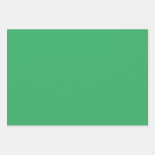 Christmas Frog Rock Band en Solids Green & Red Inpakpapier Vel (Voorkant 2)