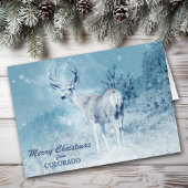 Christmas from Colorado Deer Christmas Card