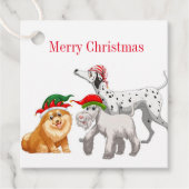 Christmas Gift Tag Bedankjes Labels (Voorkant)