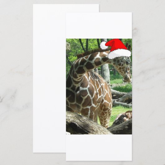 Christmas Giraffe (Voorkant / Achterkant)