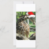 Christmas Giraffe (Voorkant)
