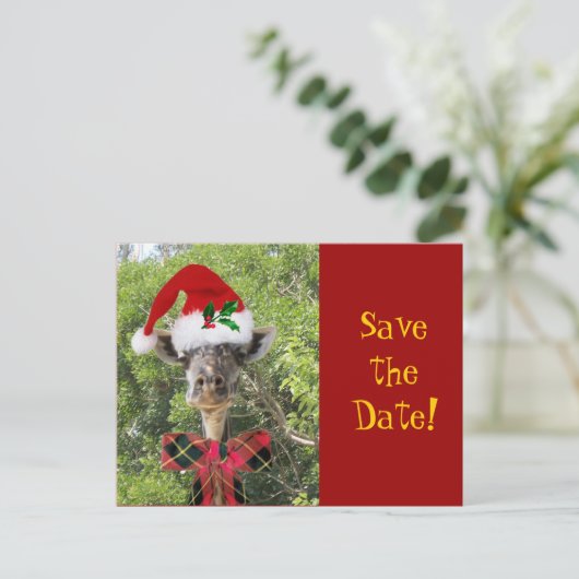 Christmas Giraffe Aankondigingskaart (Staand voorkant)