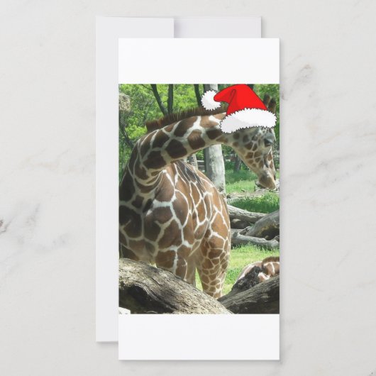 Christmas Giraffe Feestdagenkaart (Voorkant)