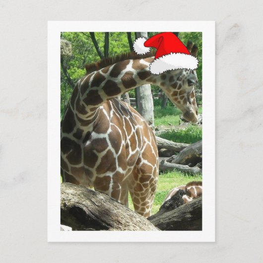 Christmas Giraffe Feestdagenkaart (Voorkant)