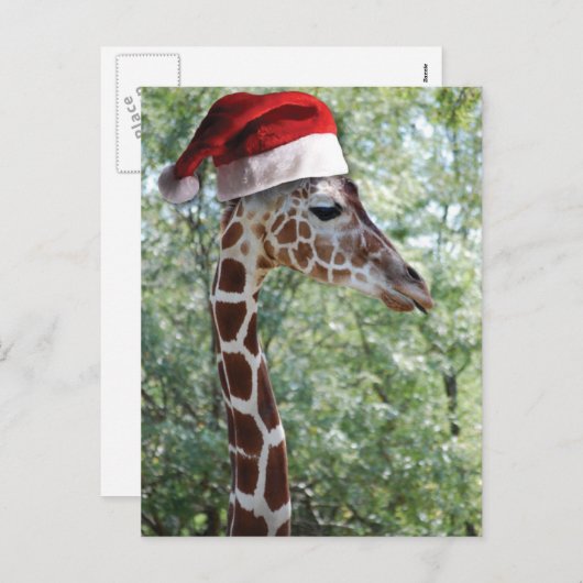 Christmas Giraffe Feestdagenkaart (Voorkant / Achterkant)