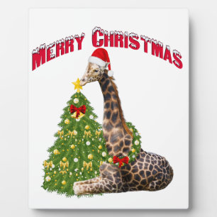 Christmas Giraffe Fotoplaat