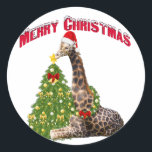 Christmas Giraffe Ronde Sticker<br><div class="desc">Schattige kerstGiraffe met zijn kerstman en versierde kerstboom - hij plaatst de ster bovenop de boom</div>