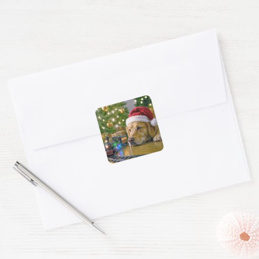 Christmas Golden Retriever Watching a Toy Train Vierkante Sticker (Envelop)