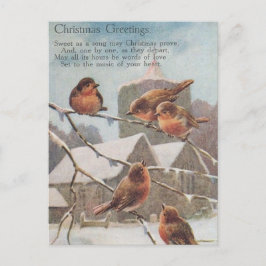 CHRISTMAS GREETINGS five robins on take Briefkaart