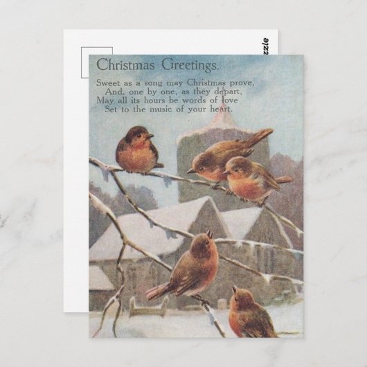 CHRISTMAS GREETINGS five robins on take Briefkaart (Voorkant / Achterkant)