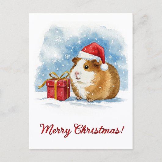 Christmas Guinea Pig Postcard Briefkaart (Voorkant)
