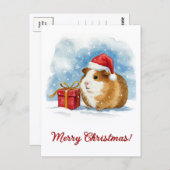 Christmas Guinea Pig Postcard Briefkaart (Voorkant / Achterkant)