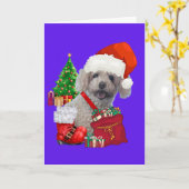 Christmas Happy Holidays Poodle Greeting Card Kaart (Gele Bloem)