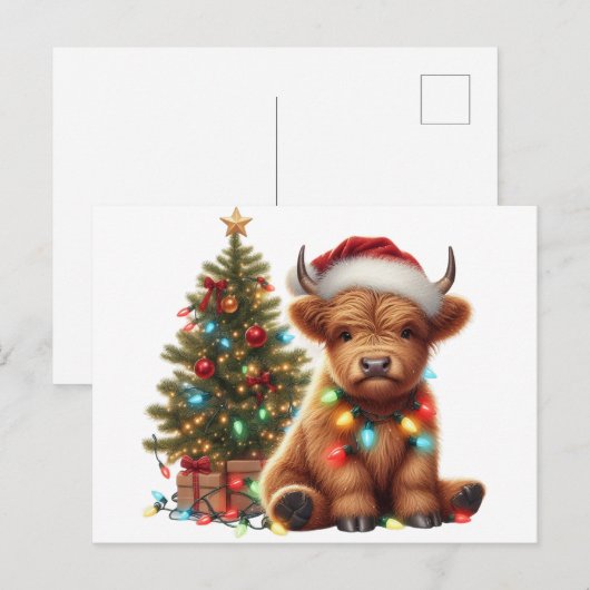 Christmas Highland Koe Briefkaart (Voorkant / Achterkant)