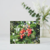 Christmas Holly Berries On Holly Tree Feestdagenkaart (Staand voorkant)