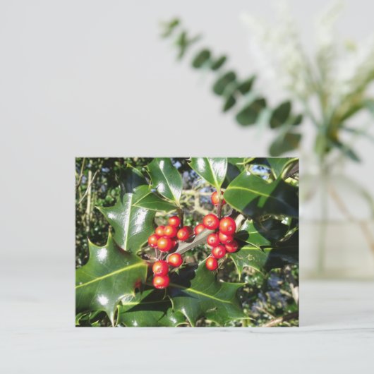 Christmas Holly Berries On Holly Tree Feestdagenkaart (Staand voorkant)
