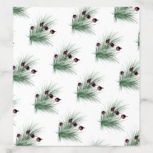 Christmas Holly Berry Struik