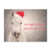 Christmas Horse Briefkaart Vakantie Groeten