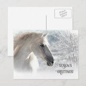 Christmas Horse Seasons Groeten Feestdagenkaart (Voorkant / Achterkant)