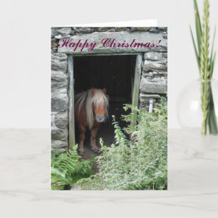 CHRISTMAS HORSES EN PONIES FEESTDAGEN KAART