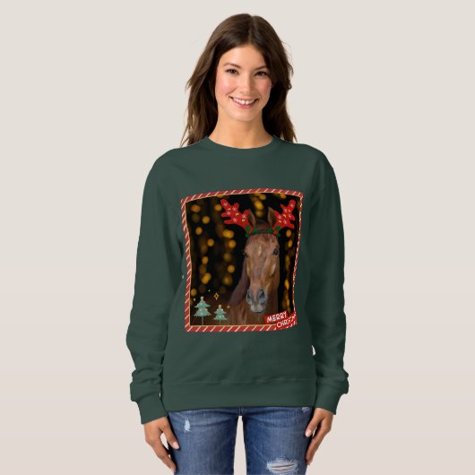 christmas horsie sweater (Voorkant volledig)