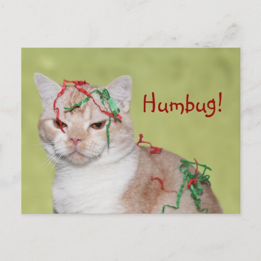 Christmas Humbug cat Feestdagenkaart (Voorkant)