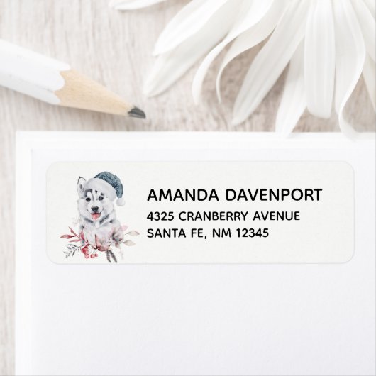 Christmas Husky Dog in a Santa Hat Etiket (Insitu)