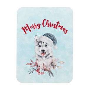 Christmas Husky Dog in a Santa Hat Magneet
