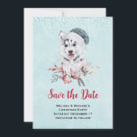 Christmas Husky Dog in a Santa Hat Save The Date<br><div class="desc">Sparen de datumkaart met een griezelig en schattig schilderij van een husky dog met een blauwe kersthoed.</div>