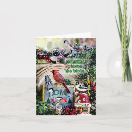 Christmas is for the Birds small Christmas card Kaart