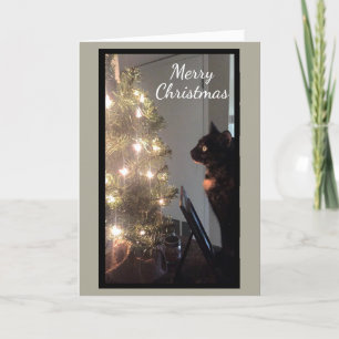 Christmas Joy Calico Cat Christmas Kaart