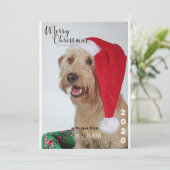 Christmas Kaart Dog Pet Fotocollage (Staand voorkant)