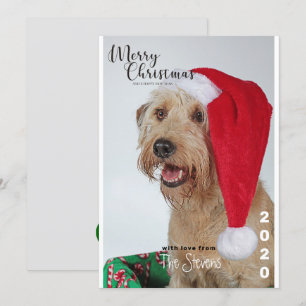 Christmas Kaart Dog Pet Fotocollage