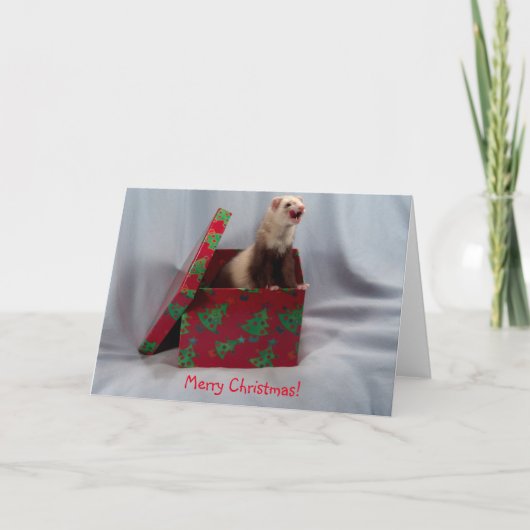 Christmas Kaart Ferret (Voorkant)