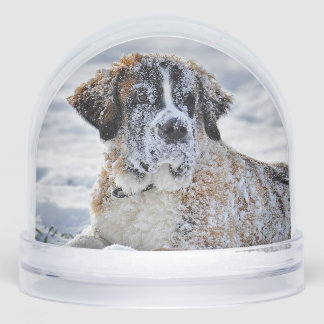 Christmas, Keepsake, or Memorial Custom Pet Photo  Sneeuwbol
