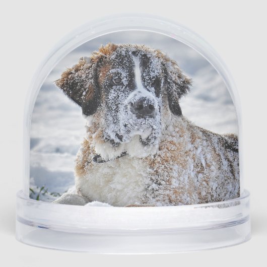 Christmas, Keepsake, or Memorial Custom Pet Photo  Sneeuwbol (Voorkant)