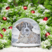 Christmas, Keepsake, or Memorial Custom Pet Photo  Sneeuwbol (Kerstmis)