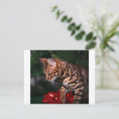 Christmas Kitty Photo (Domestic Bengal Cat) Feestdagenkaart (Staand voorkant)