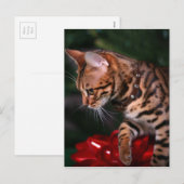 Christmas Kitty Photo (Domestic Bengal Cat) Feestdagenkaart (Voorkant / Achterkant)