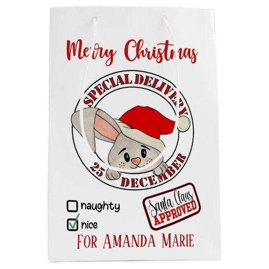 Christmas konijn speciale levering voeg naam toe medium cadeauzakje (Voorkant)