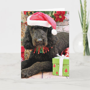 Christmas - LabraDoodle - Miller Feestdagen Kaart