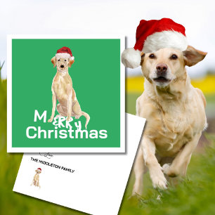 Christmas Labrador Retriever Hond Vrolijke Groet