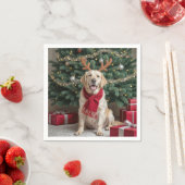 Christmas Labrador Retriever met gewei Servet (Insitu)