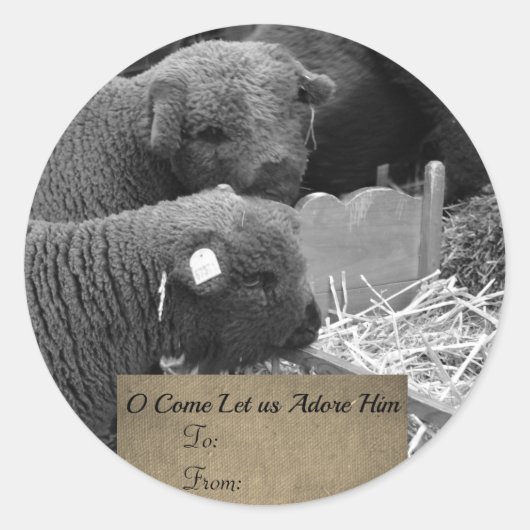 Christmas Lambs Label (Voorkant)