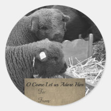 Christmas Lambs Label