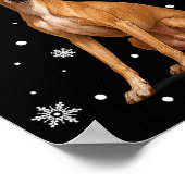 Christmas Lights Reindeer Santa Italian Ghound Xma Poster (Hoek)