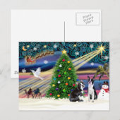 Christmas Magic-Boston Terrier (2) Feestdagenkaart (Voorkant / Achterkant)