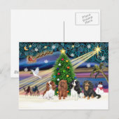 Christmas Magic / Cavalier King Charles (vier) Feestdagenkaart (Voorkant / Achterkant)
